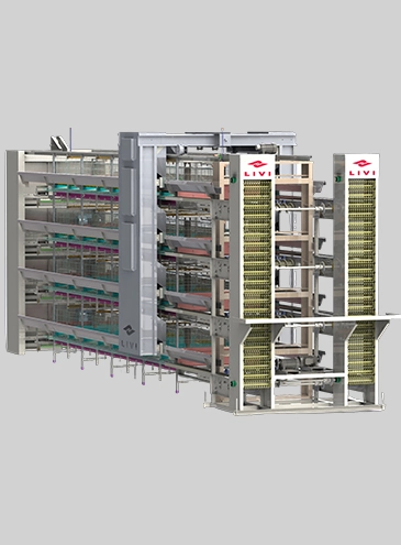 H-Type-Layer-Battery-Cages