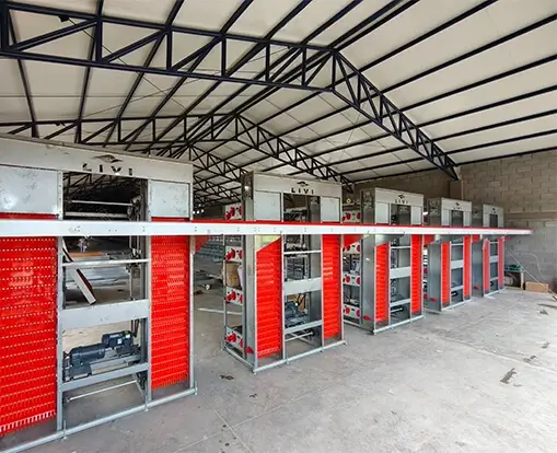 h-type battery cage system layer chicken cages