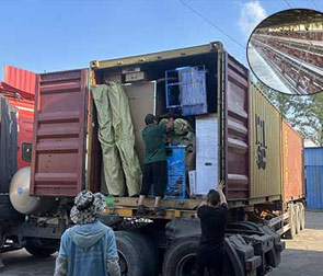 a-type layer chicken cage system for layers delivery