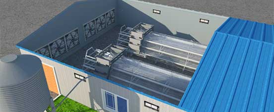 automatic a-type layer chicken cages for sale