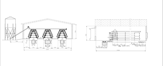 poultry chicken farm design with layer cage system
