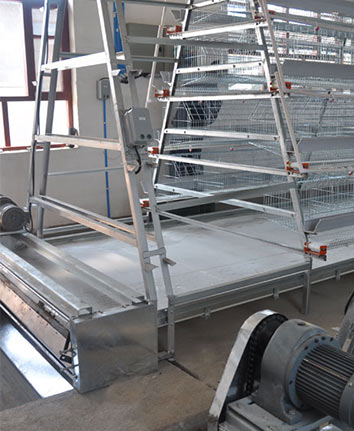 Layer Chicken Cage Automatic Manure Cleaning System