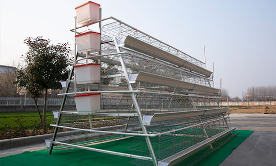a-type manual layer chicken cages for sale
