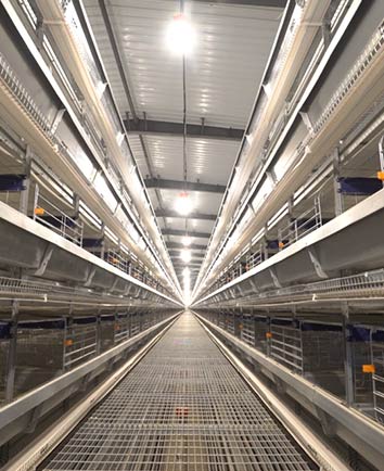 8-tier h-type automatic layer chicken cage system for modern chicken farm