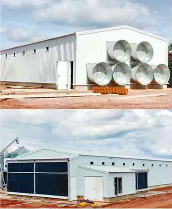 Layer Chicken Cage Prefab Steel Structure