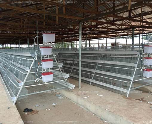 a-type automated laying hen cage system