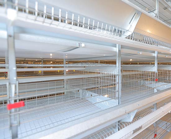 good price chicken layer poultry cage system