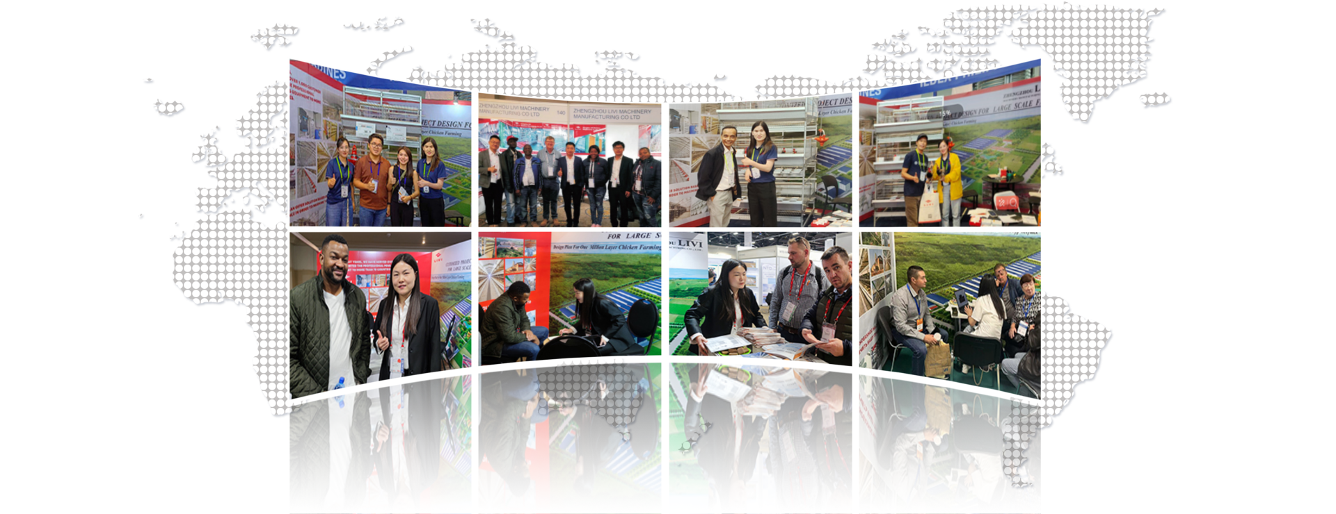 best price chicken layer cage for sale